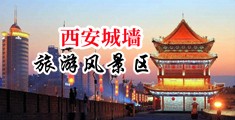 欧美大黑鸡巴在线视频中国陕西-西安城墙旅游风景区